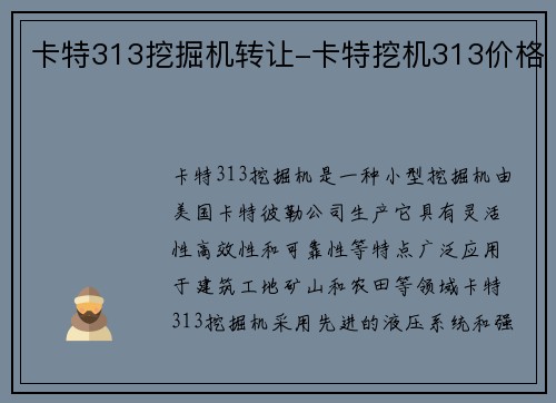 卡特313挖掘机转让-卡特挖机313价格