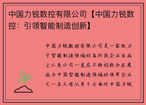 中国力锐数控有限公司【中国力锐数控：引领智能制造创新】